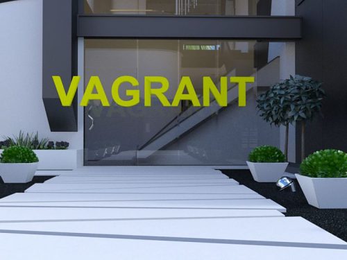 Vagrant