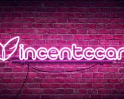 VincentCC [Collection]