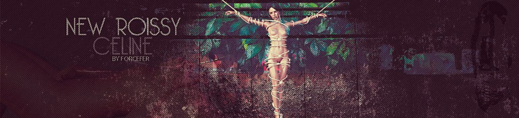 New Roissy: Celine Banner