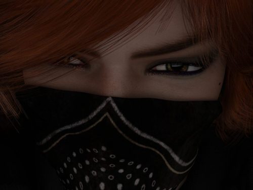 Robbin' Hoods