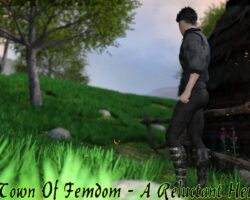 Town of Femdom