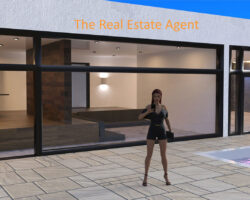 The Real Estate Agent