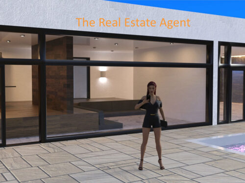 The Real Estate Agent