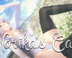 Norika's Case