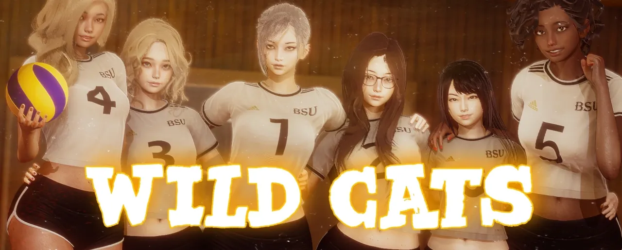 Wild Cats Banner